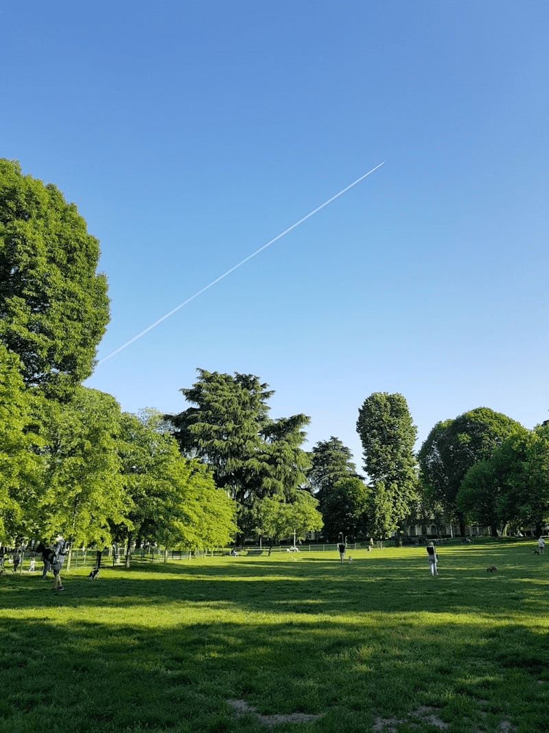 Playgrounds and open green space at The Wilds at Cedar Mountain